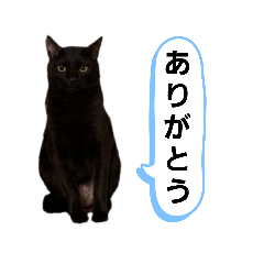 NANAMI_20210321133624