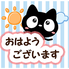 Very cute black cat9