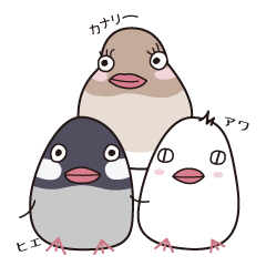 A HOKKORI Java sparrow Sticker