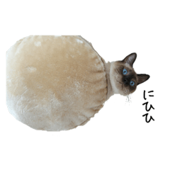 Siamese cat series Ken's daily stamp 2