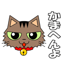 y'scoco_20210321155151