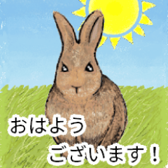 The brown rabbit (keigo)(dandelion)