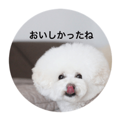 suzu_20210321173341