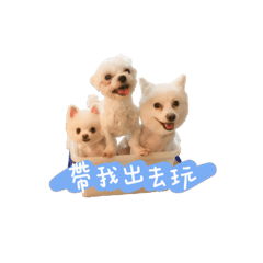 犬家日常用語