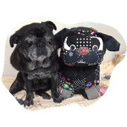 Pug Pug Anko3