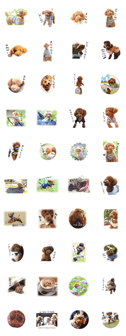 cookie's stickers