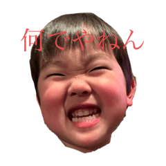 risanokazoku