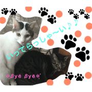 kiki and milk