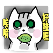 chao hu cat part12