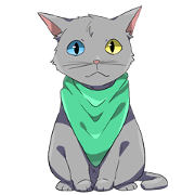 Scarf loving cat