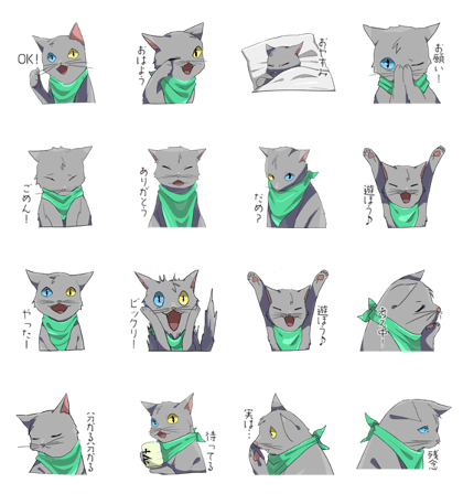 Scarf loving cat
