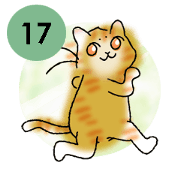 YanYan-17 Animated Stickers!