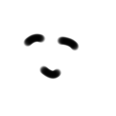 orange_20210321215748