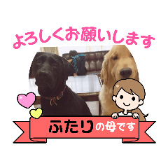 KING_20210321224338