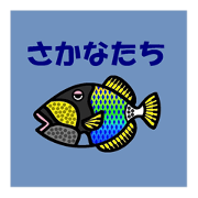fish & fish & fish