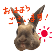 Madam na  "Ofurann-san".