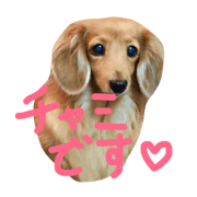 ChamiChan