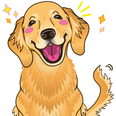 Golden retriever sticker Clearance