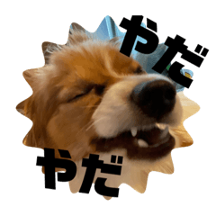 Aoi_20210322085000