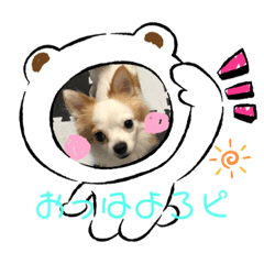 miki_20210321192618