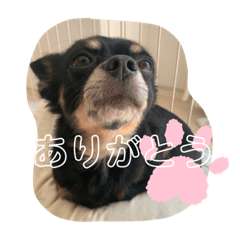 yukari_20210321210849