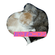 JACKAQUA