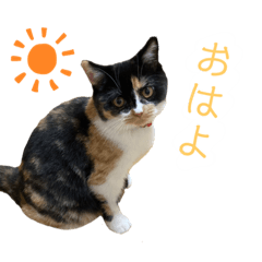 Alice_20210321214338