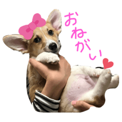 rei_20210321222423