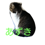 redbeans@Azuki