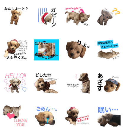 sticker of LUCY2