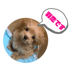 MIYUU_20210321234955