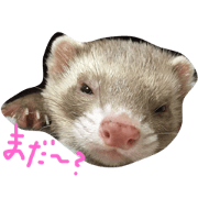 I LOVE FEREET 2