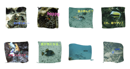 cute fish "sea"