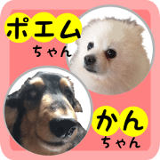 our dog poem and kan