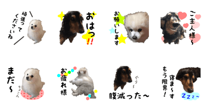 our dog poem and kan
