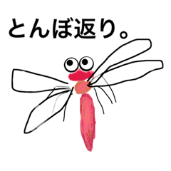 insect s