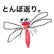 insect s
