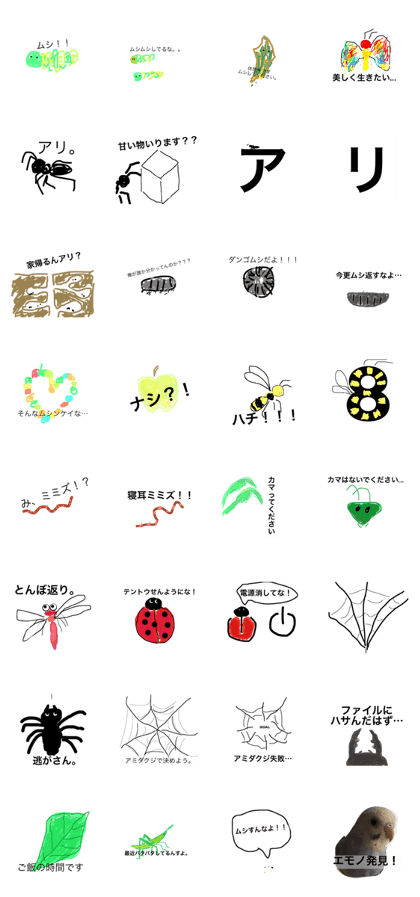 insect s
