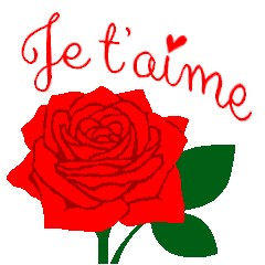 [Francês] "EU AMO VOCÊ" Rosas vermelhas