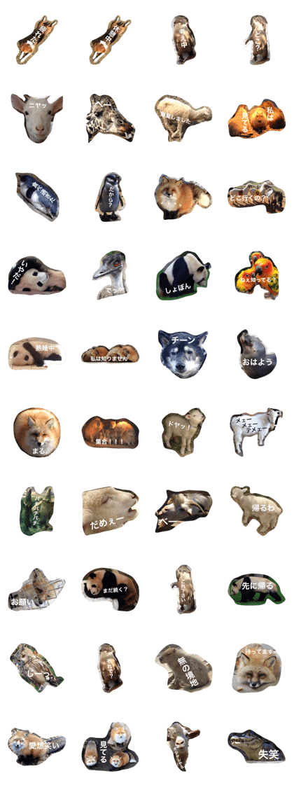 Animals & Words