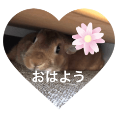 Yomogita_20210322090300