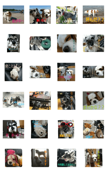 I have pretty dogs