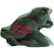 cat&dog&sparrow