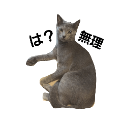 Yukari_20210321203344