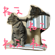 gomasio stamp moti azuki