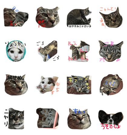 gomasio stamp moti azuki