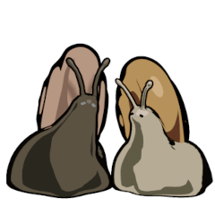 カタツムリ Lineクリエイターズスタンプまとめ Stamplist カタツムリ Lineクリエイターズスタンプまとめ Stamplist