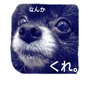kuropomerentan