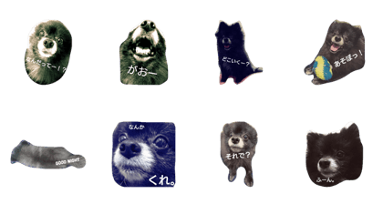 kuropomerentan