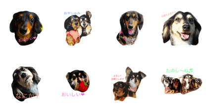 MiniatureDachshund and Chihuax's stamp